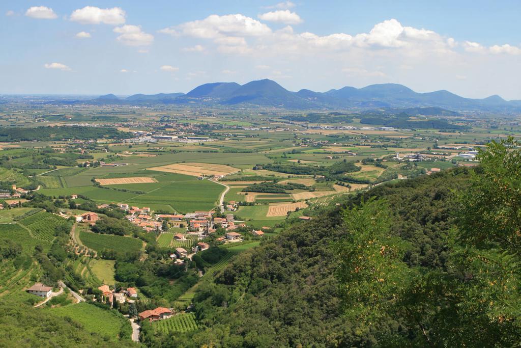 Willa Agriturismo Monte Degli Aromi Villaga Zewnętrze zdjęcie